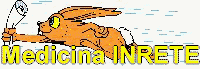 fa15new.gif (9447 byte)
